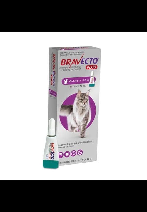Bravecto Plus Cat Spot On 6.25-12.5Kg