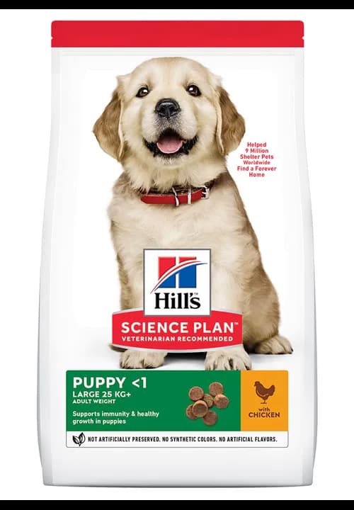 Hills Puppy Large Breed Chicken 2.5Kg