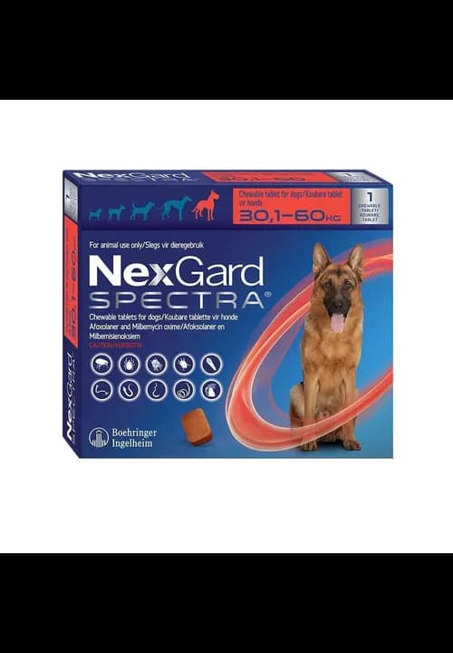 Nexgard Spectra Dog 30.1-60Kg